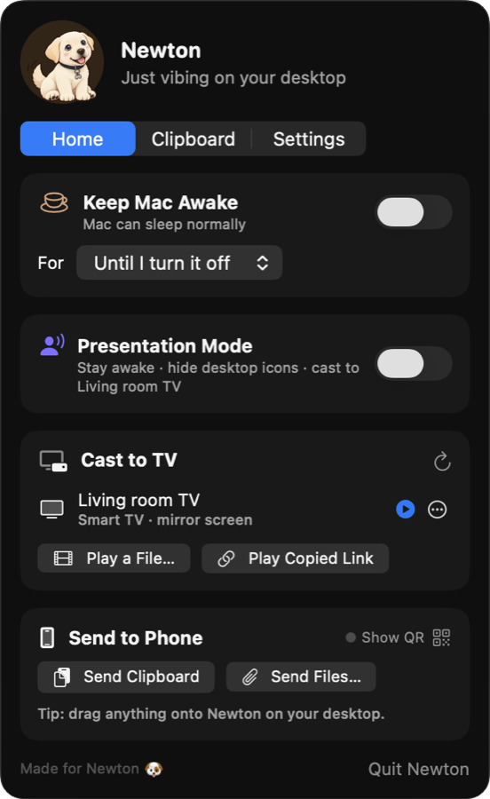 Newton screenshot