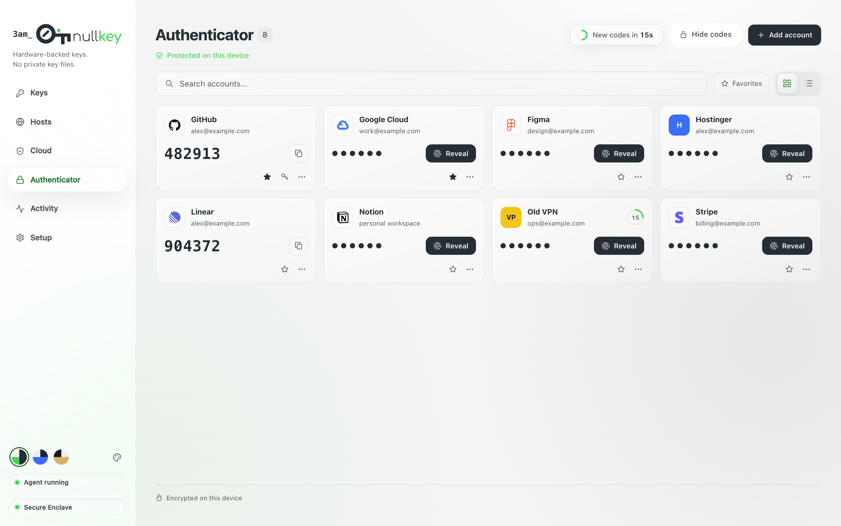 NullKey screenshot