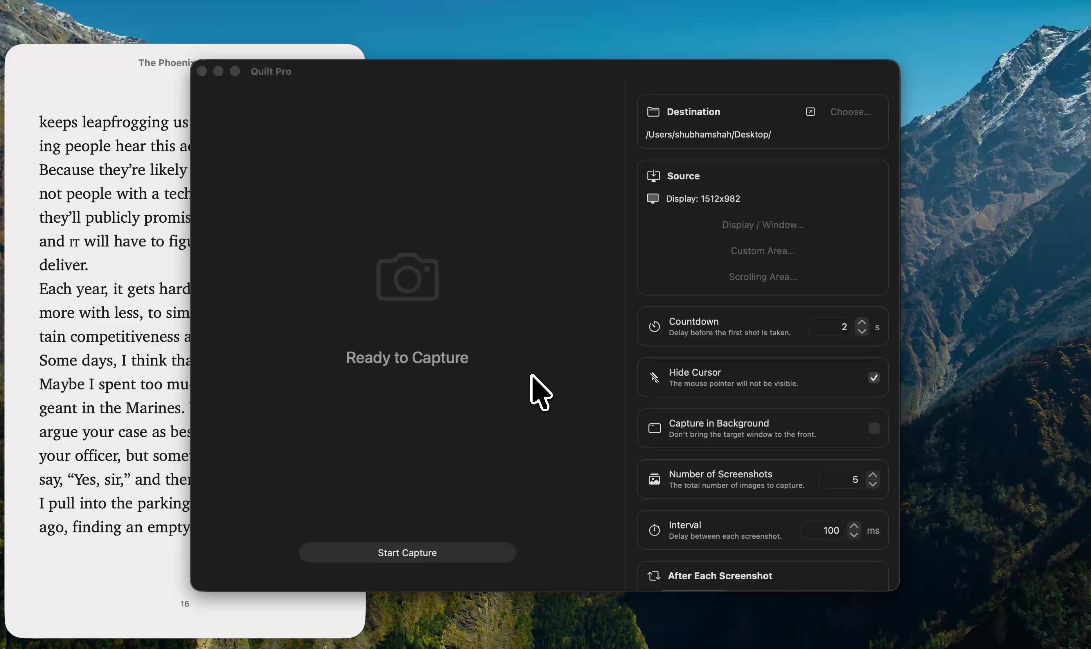 Quilt screenshot